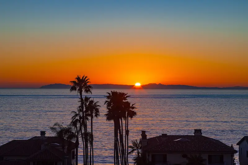 Sunset view with palm trees and Catalina Island in the distance, Laguna Beach