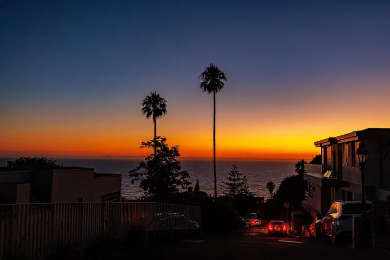 Palm-lined street at sunset, Laguna Beach