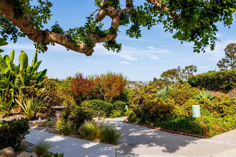 Courtyard walkway framed by tree branches — San Clemente real estate photography